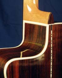 Cutaway detail, Maple bindings