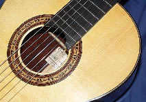 Spruce top, rosette detail