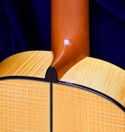 Detail of heel and body