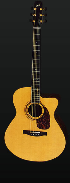 Full view of Rob Baker's custom cutaway