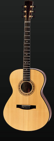 Full view of a C-Model guitar