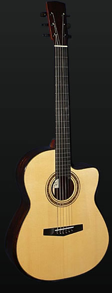 Full view of Jason's Retro guitar