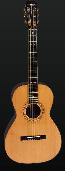 Full view of a Parlour guitar