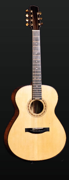 Full view of Don's custom 7-string guitar